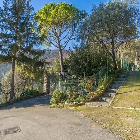 Lovely In With Wifi Apartament Recco
